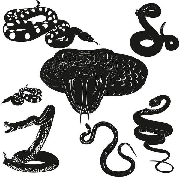 600x596 Snake Vector Silhouette Free Download
