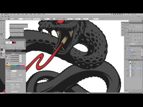 480x360 Creating Vector Snake Design