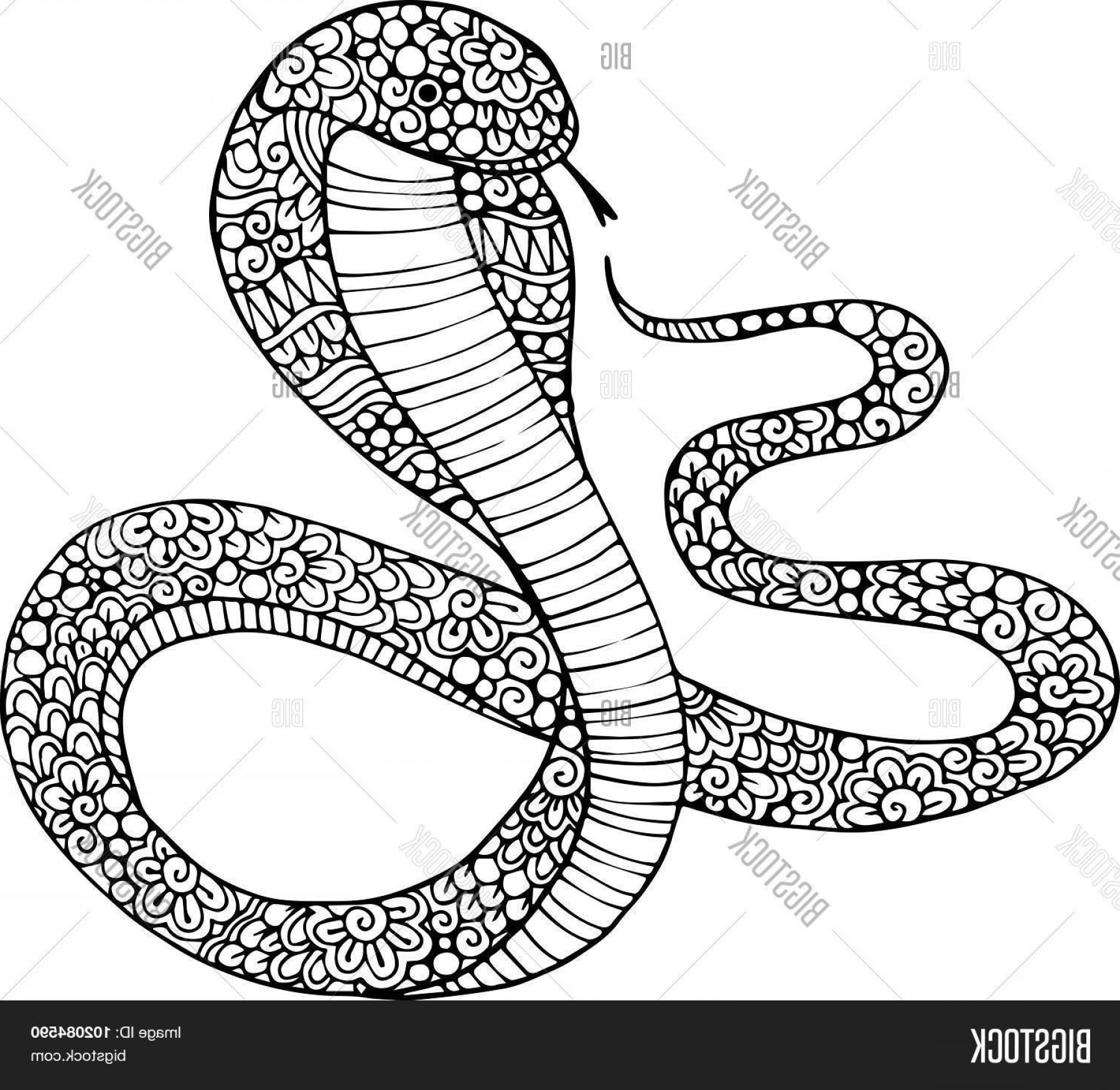 1800x1752 Large Snake Vector Art Arenawp