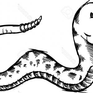 300x300 Photocute Snake Sketch Doodle Vector Art Arenawp
