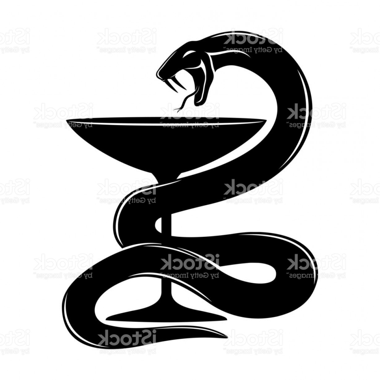 1228x1228 Snake Vector Art Arenawp