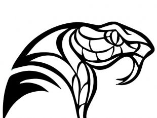 310x233 Snake Head Free Vector Free Vectors Ui Download