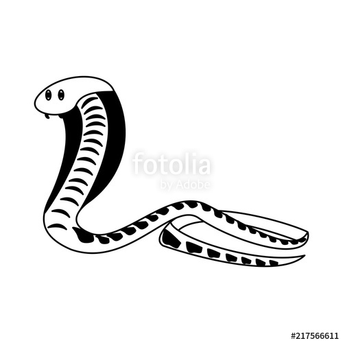500x500 Cobra African Snake Vector Illustration Graphic Design Stock