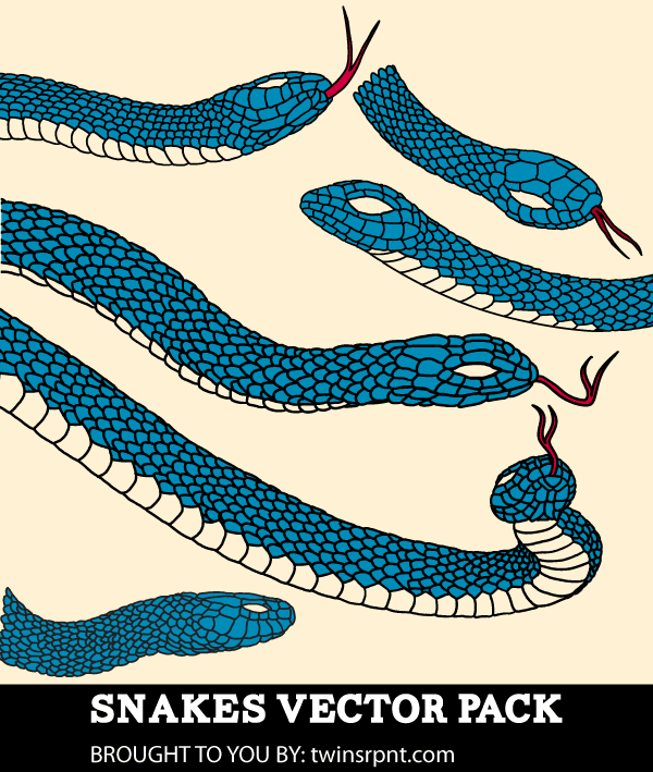 600x709 Free Snake Vector Pack 123freevectors