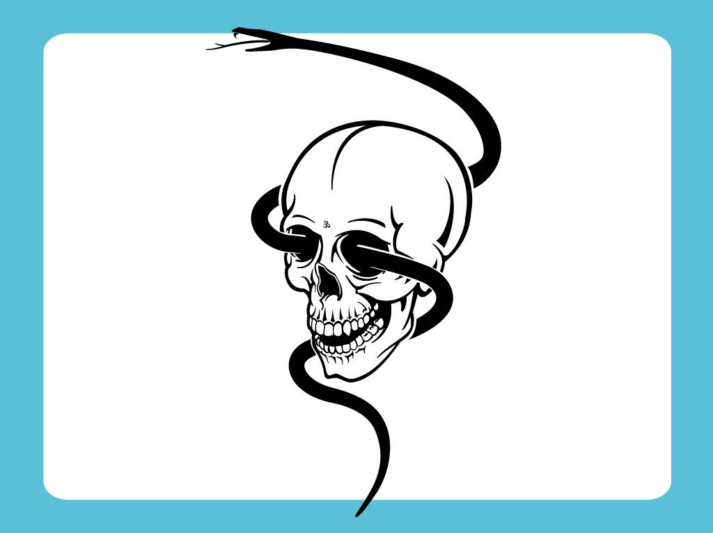 1024x765 Skull With Snake Vector Vector Art Amp Graphics