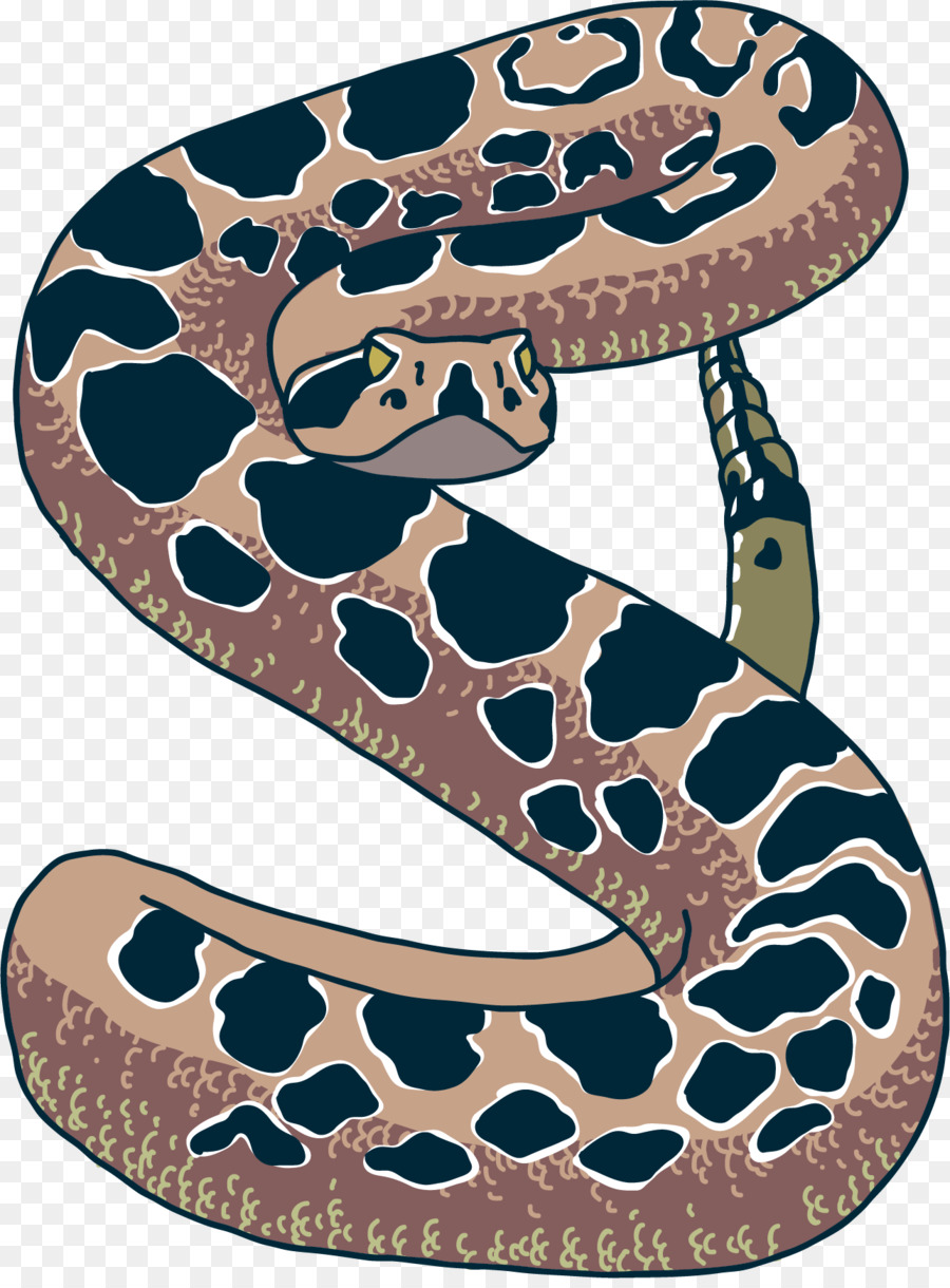 900x1220 Snake Vector Euclidean Vector