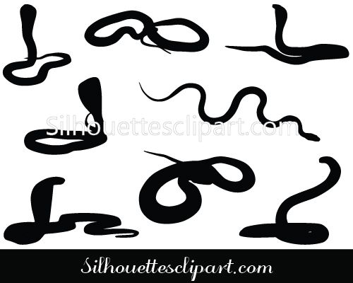 500x400 Snake Vector Graphics Reptile Vector Graphics