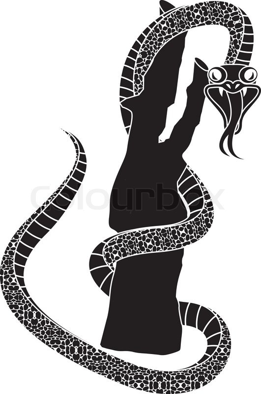531x800 Stencil Of Snake. Vector Illustration Stock Vector Colourbox