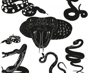 280x235 Snake Vector