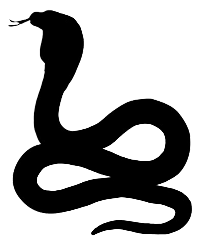 654x792 Collection Of Free Vector Files Snake. Download On Ubisafe