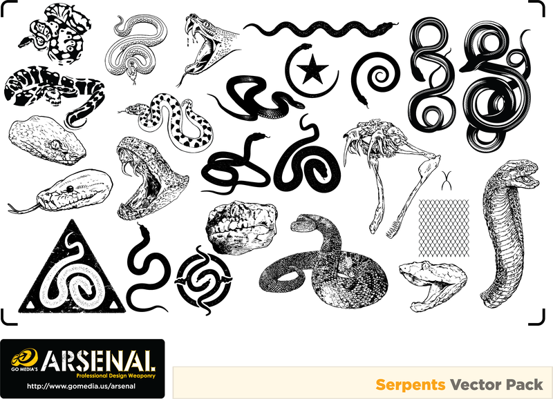 800x578 Gomedia Snakes Produced Vector