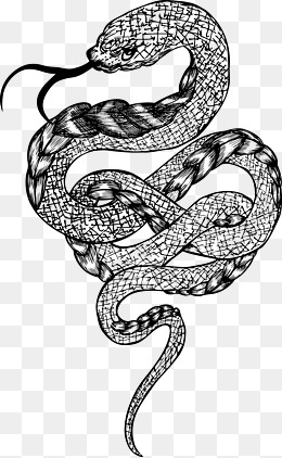 260x422 Snake Vector Png Images Vectors And Psd Files Free Download On