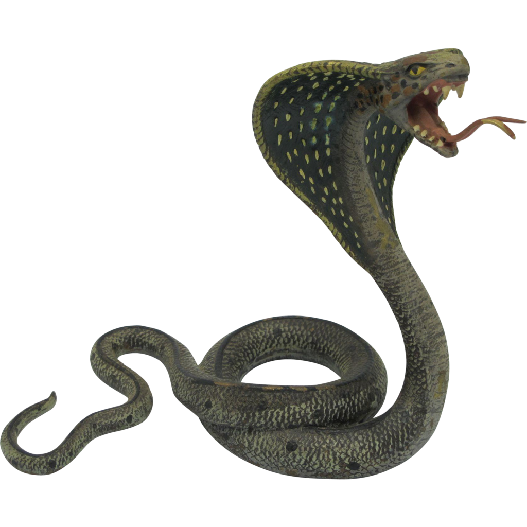 1024x1024 Cobra Snake Png Photos
