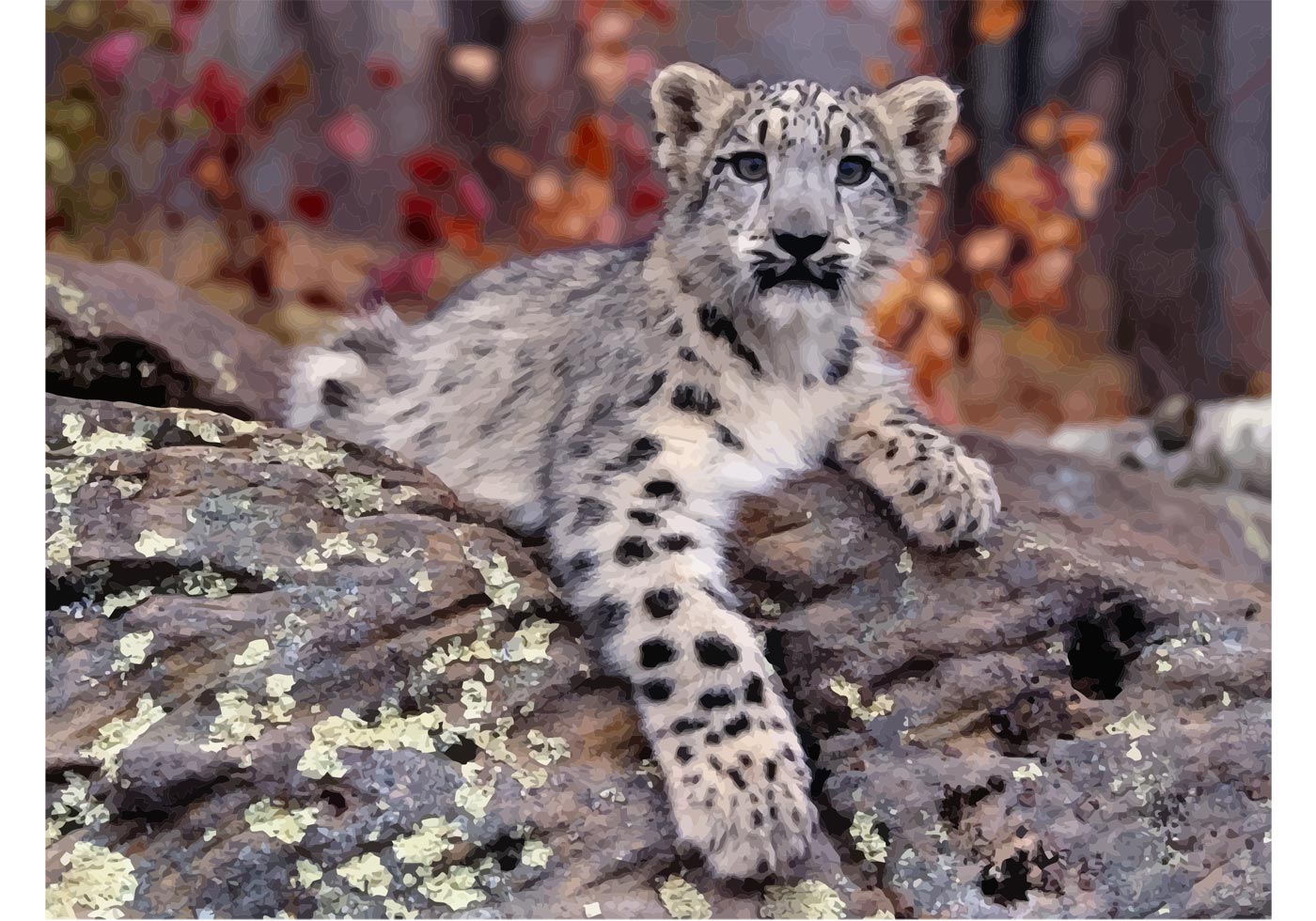 1400x980 Snow Leopard Free Vector Art