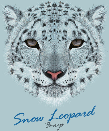 381x455 Beautiful Snow Leopard Vector Background Free Vector In