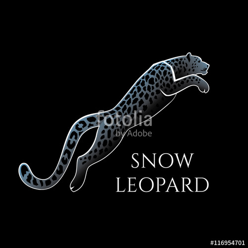 500x500 Snow Leopard Vector Illustration Logo, Sign, Emblem On Black