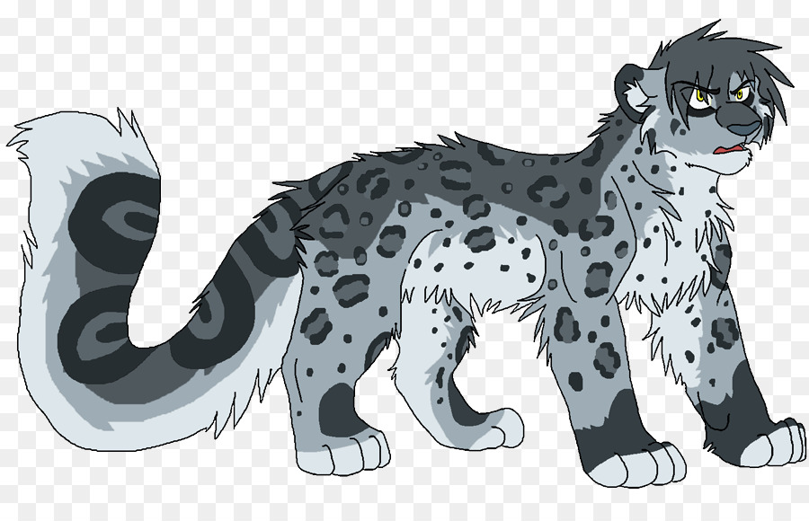 900x580 Snow Leopard Tiger Felidae Drawing