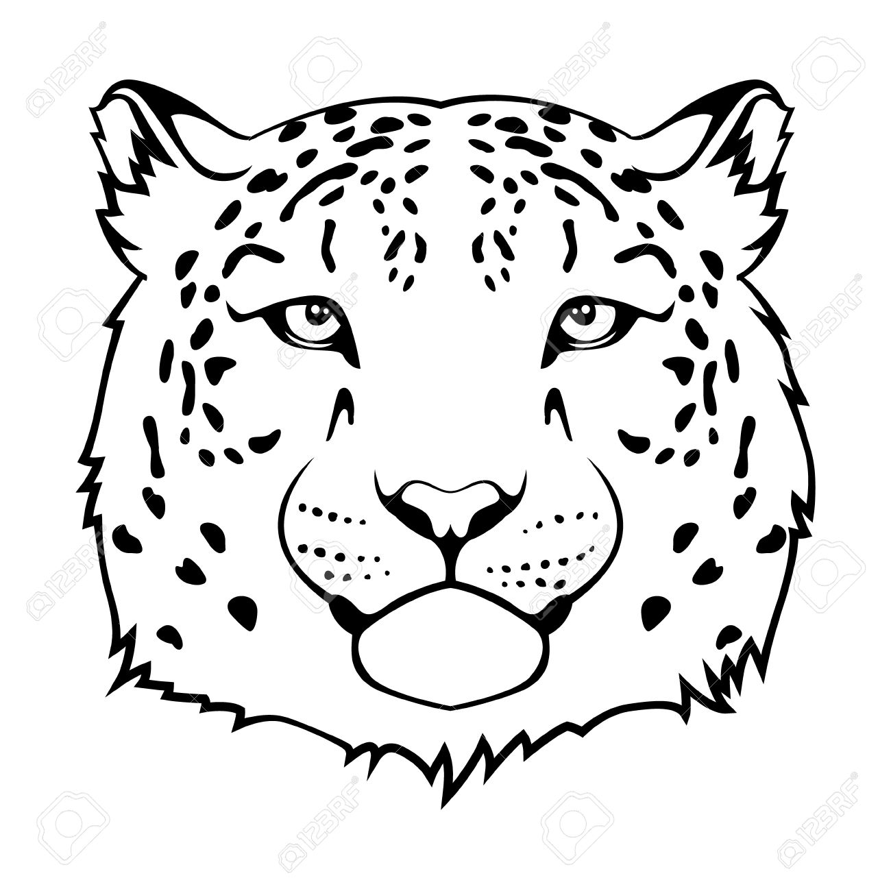 1300x1300 Snow Leopard Clipart Head