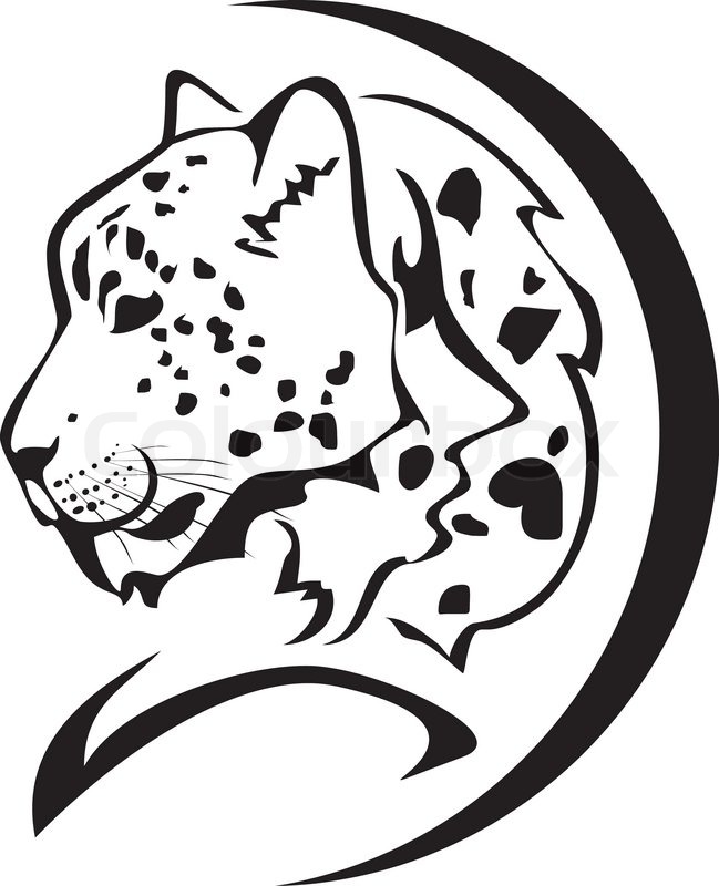 649x800 Snow Leopard Head Symbol. Black On The White Stock Vector