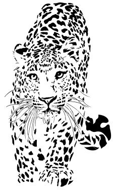 224x380 Drawn Snow Leopard Vector