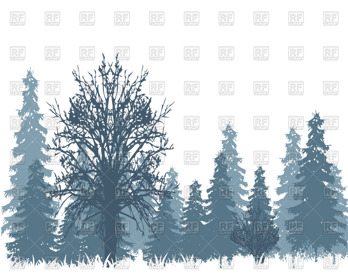1200x958 The Landscape Winter Wood And Tree In Snow Vector Image Vector
