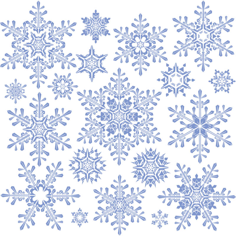 800x800 Free Snowflake Vector