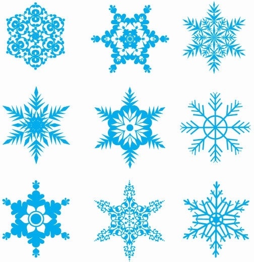504x520 Snowflakes Png Transparent Snowflakes.png Images. Pluspng