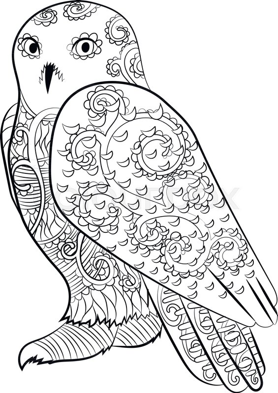 565x800 High Detailed Illustration Of An Snowy Owl In The Zentangle Style