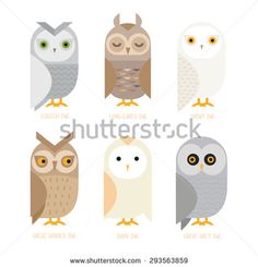 236x245 Owl Clipart