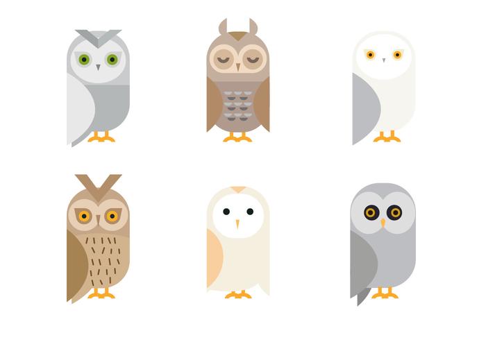 700x490 Owl Free Vector Art