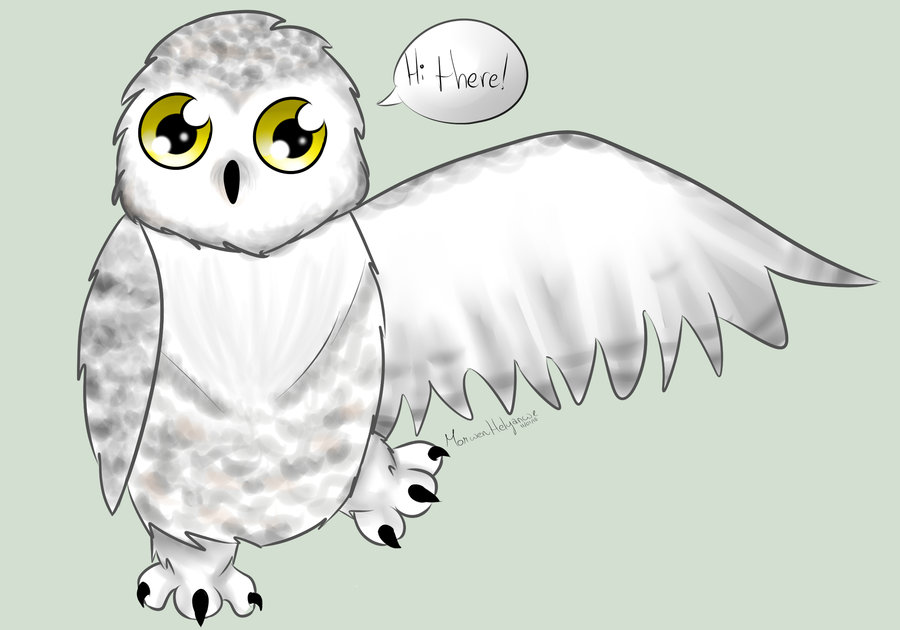 900x630 Snowy Owl Clip Art