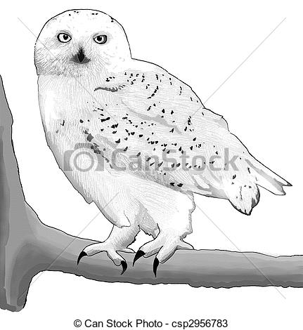 431x470 Snowy Owl Clipart Black And White