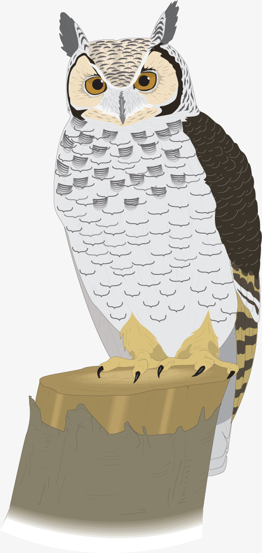 512x1082 Vector Hand Painted Owl, Vector, Hand Painted, Owl Png And Vector