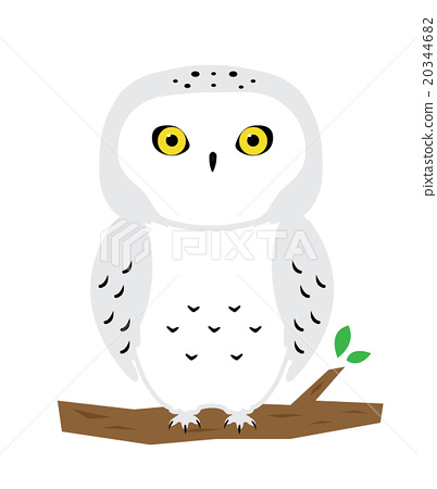 402x450 Owl, Vector, Vectors