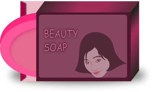 500x302 Asian Beauty Soap Vector Image Public Domain Vectors