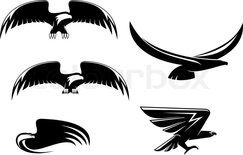 800x511 Heraldry Eagle Symbols And Tattoo Isolated On White Stock Vector
