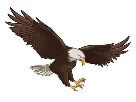 The best free Eagle vector images. Download from 996 free vectors of ...