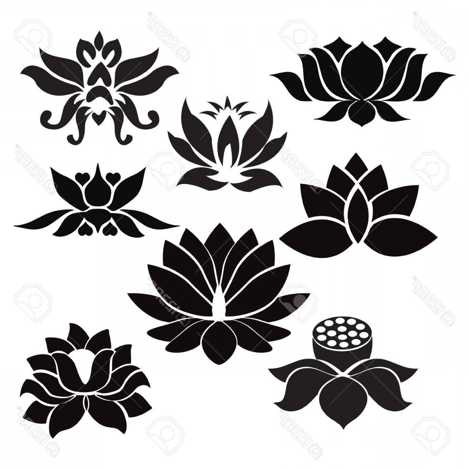 1560x1560 Flores Vector Clip Art Lazttweet