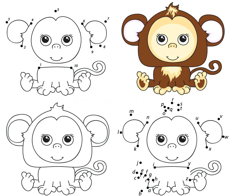 800x685 Harmonious O728064 Monkey Coloring Book Circus Elephant And Monkey