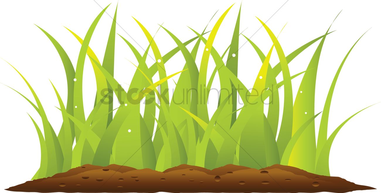 1300x660 Grass On Soil Vector Image