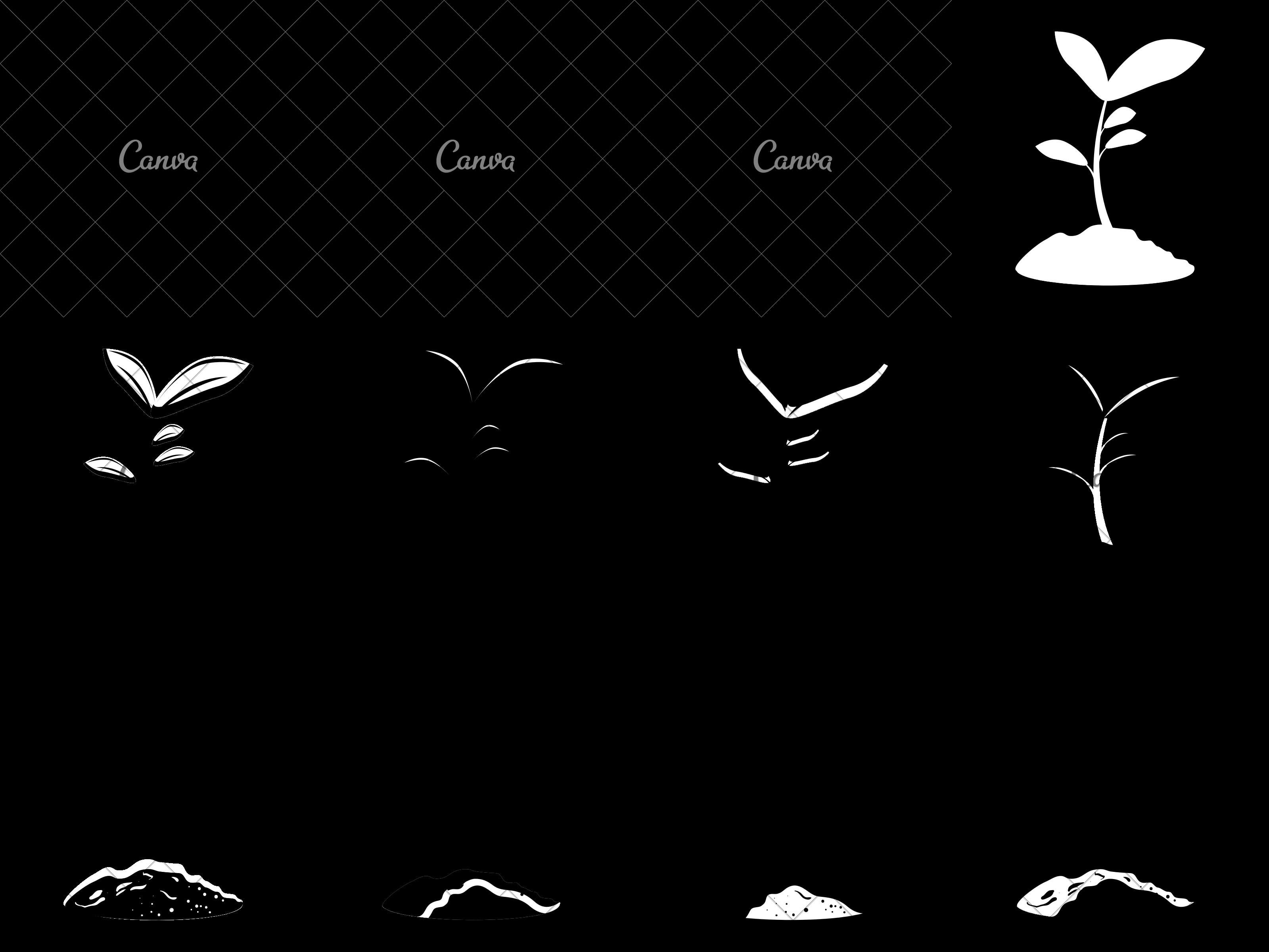 3200x2400 Growing Plant In Soil Vector Illustration