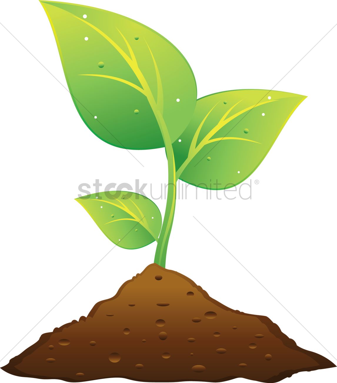 1146x1300 A Plant Growing From The Soil Vector Image