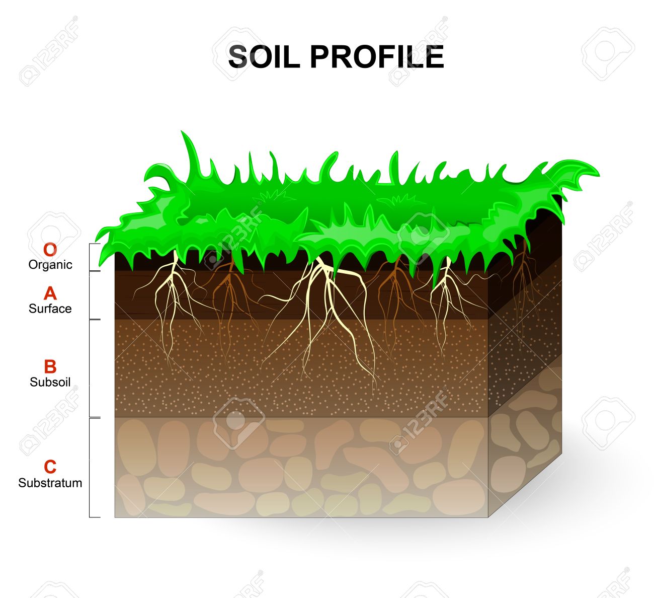 1300x1188 Soil Clipart Vector