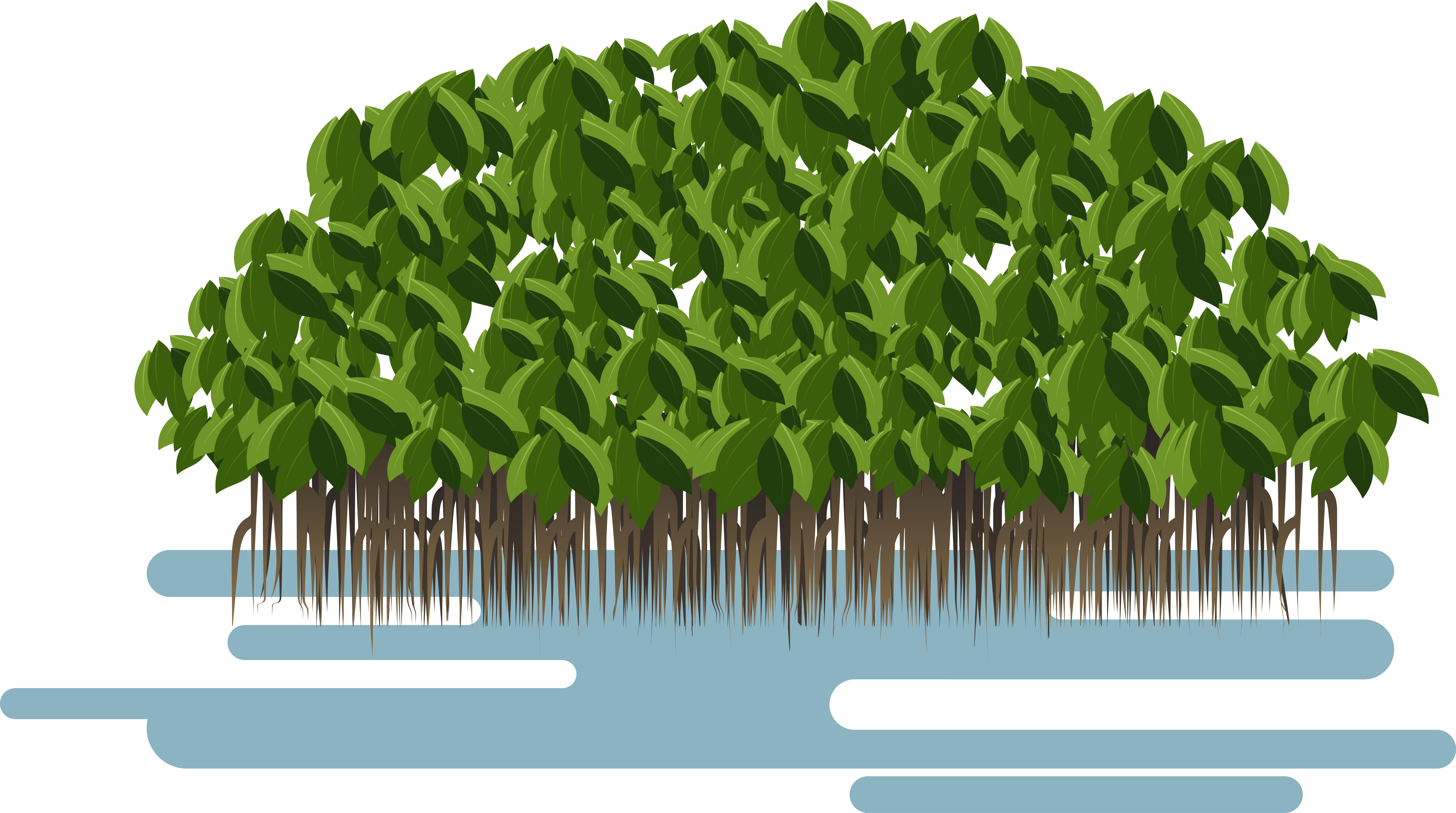 6131x3424 Soil Vector Transparent ~ Frames ~ Illustrations ~ Hd Images