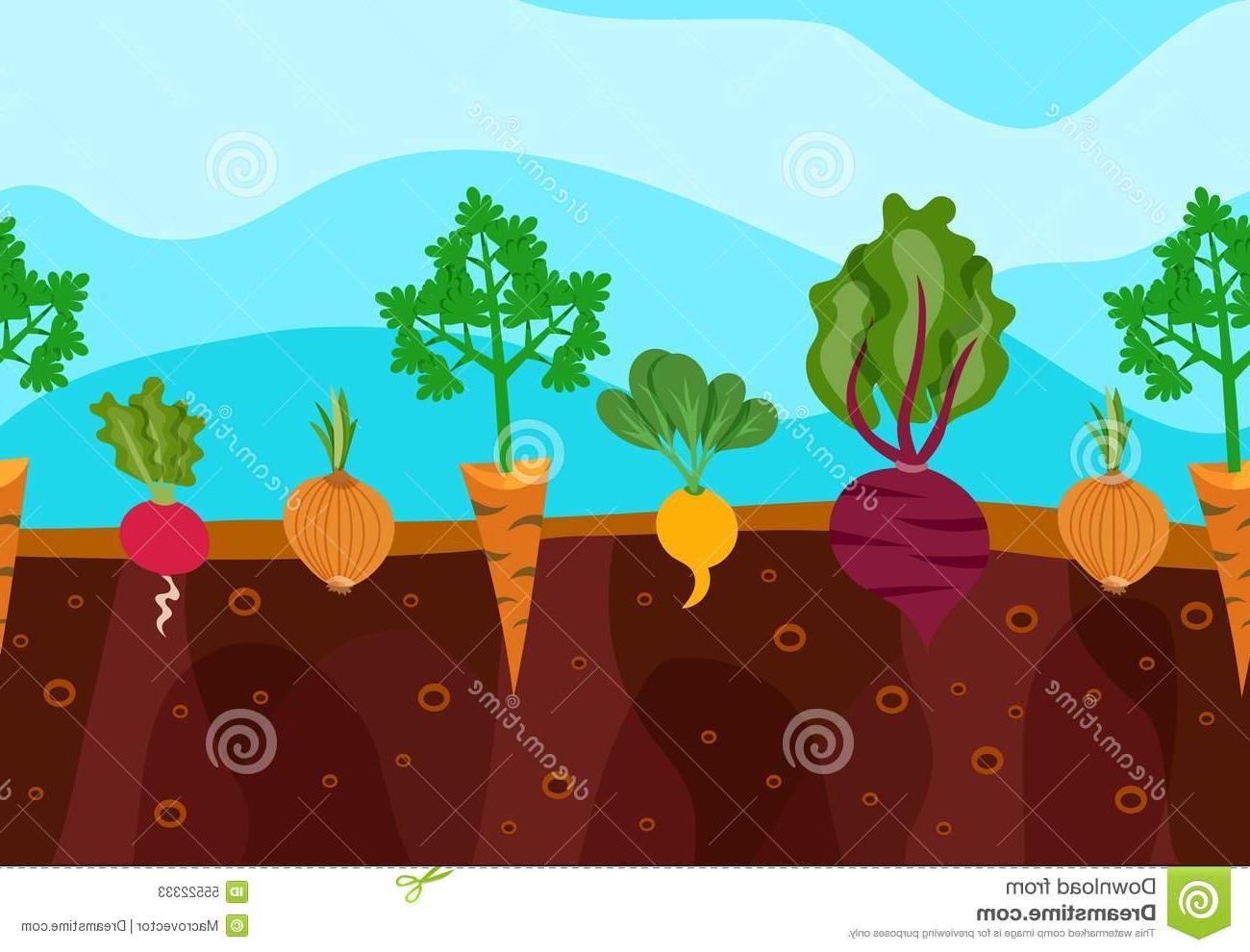 1300x990 Top 10 Growing Vegetables Illustration Decorative Icons Set Garden