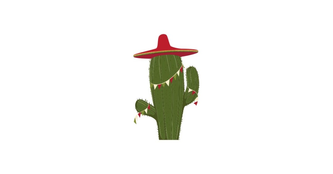 1080x565 Cactus With Sombrero Free Vector And Transparent Png The