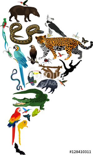 300x500 Animals South America