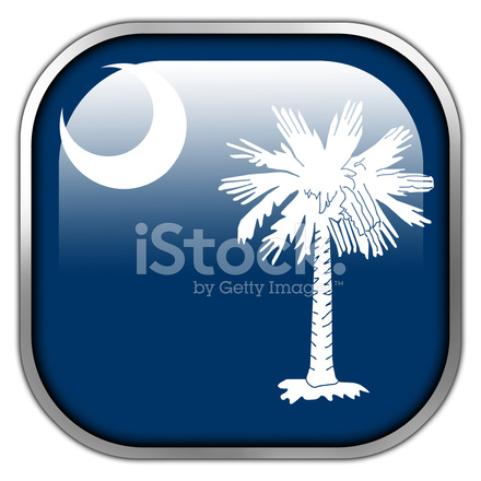 440x440 South Carolina State Flag Square Glossy Button Stock Vector