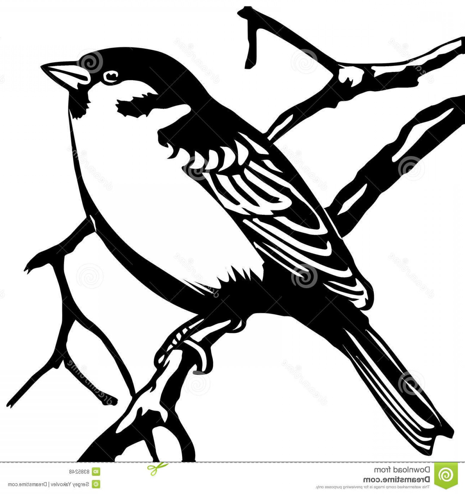 Sparrow Vector at GetDrawings | Free download