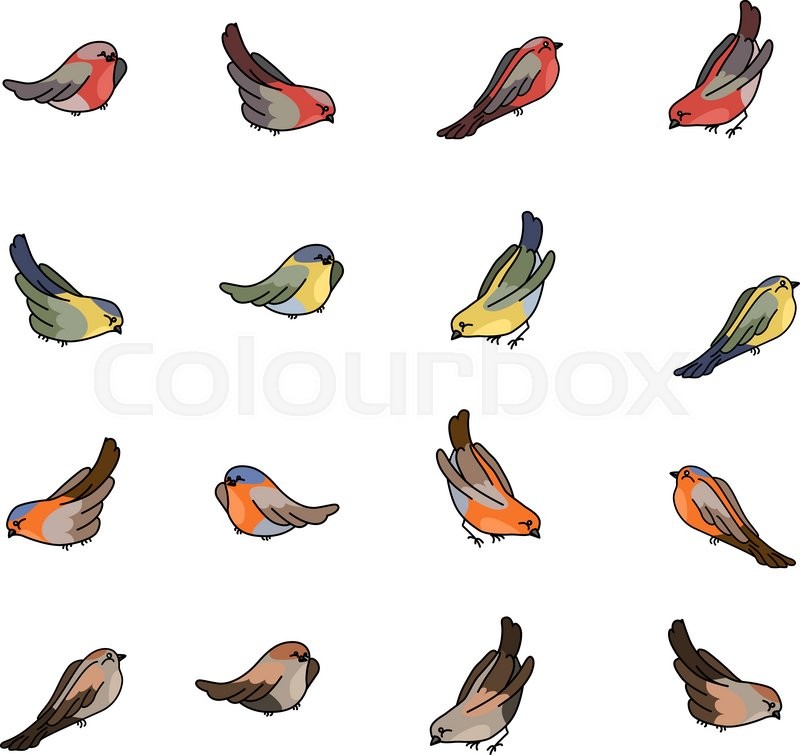 800x755 Set With Different Small Birds
